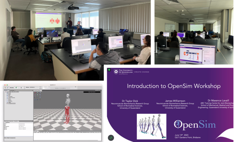 OpenSim Workshop – ARC ITTC for Joint Biomechanics